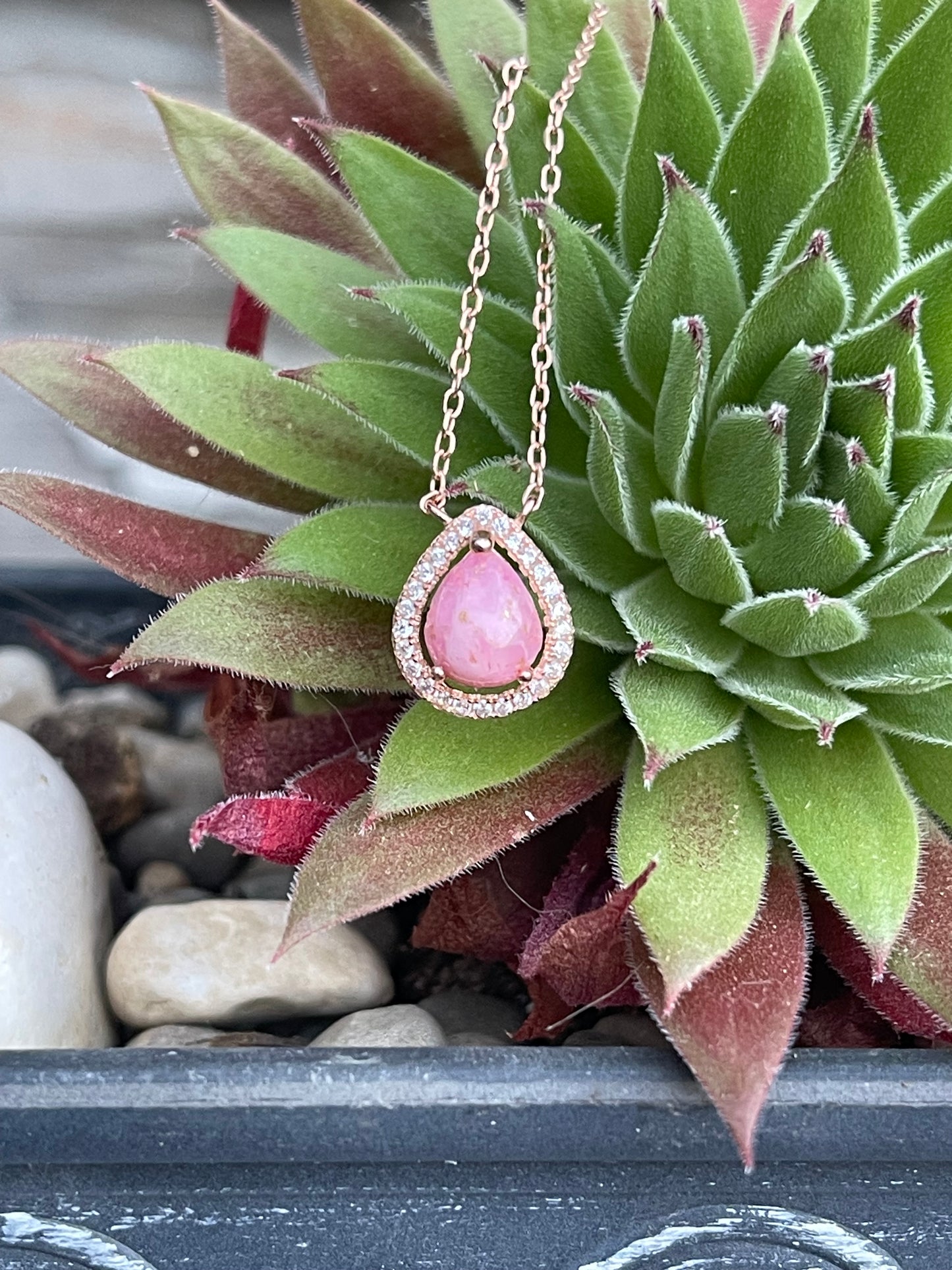 Order for Lexxy
