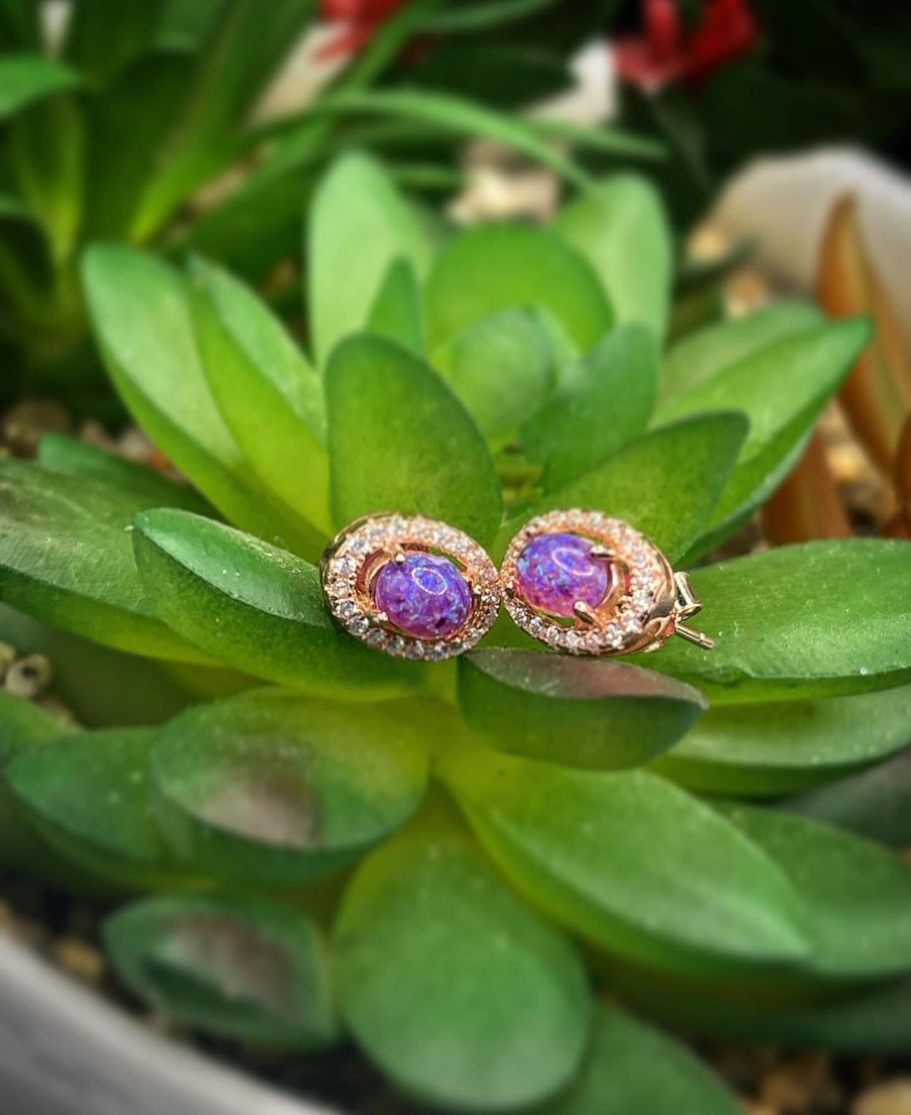 14k Oval Earrings